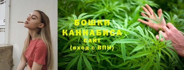 2c-b Вяземский